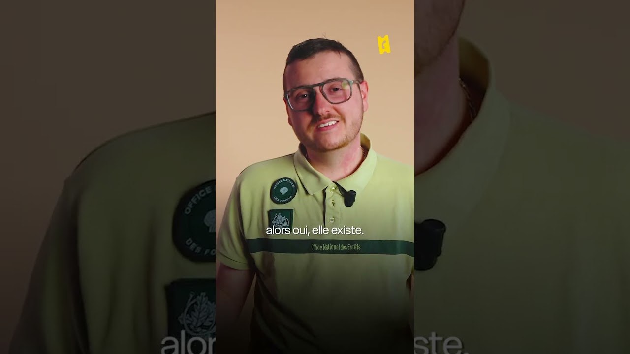 À l’occasion de la sortie de Jumpers, on a demandé à technicien forestier territorial à d’analyser