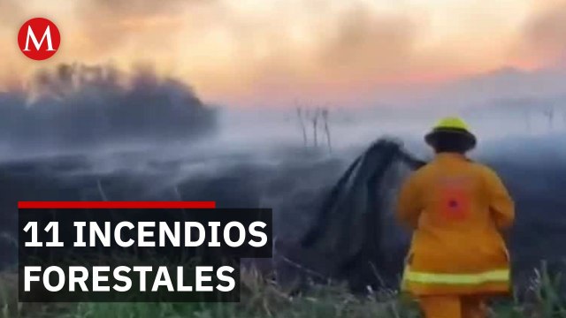 Prohíben fogatas en Nuevo León para evitar desastres forestales