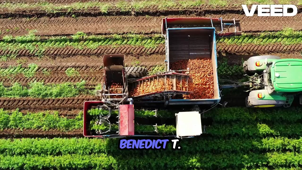 Transform Slopes into Strong Fields | Terrace Farming by Benedict T. Palen, Jr.
