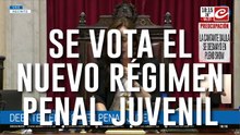 Es ley: el Senado aprobó la Reforma Penal Juvenil y bajó la imputabilidad a los 14 años