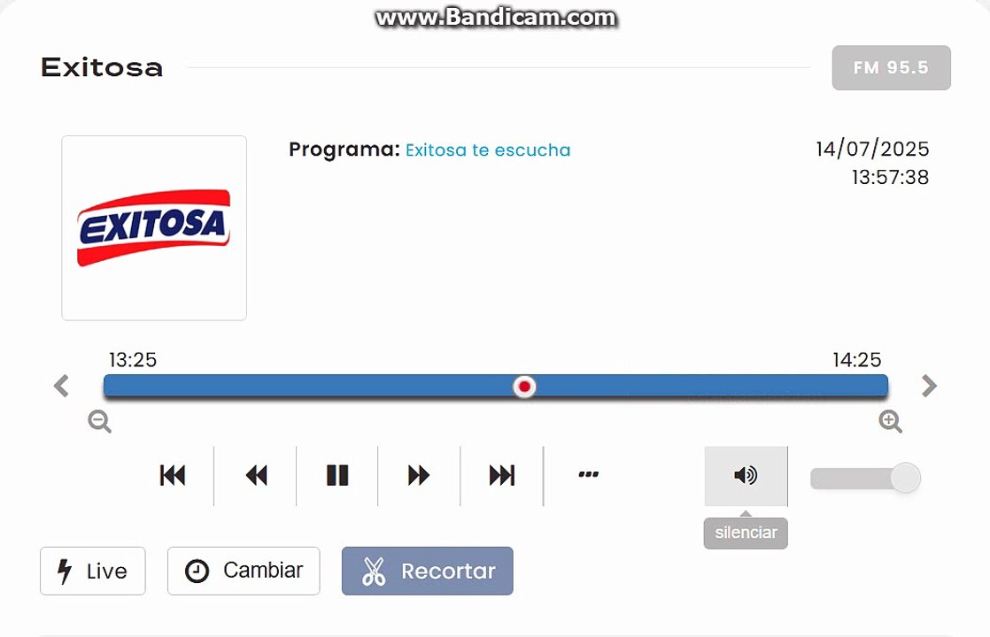 radio exitosa(2025)