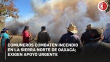 Comuneros de Oaxaca combaten incendio forestal en la Sierra Norte; exigen apoyo urgente