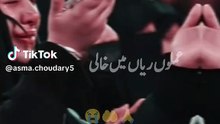 Tiktok_1771585435853