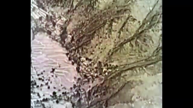 AQMKLlWDDdYcu9Xwp-Wp3ukXva6IGmOtGpi-FQkmMSBF4brpET3kKSdsyWrsYCDYROp8WYvDfahspTa99nL1Kyfpk4BCRWEmEWo21BEpjQ