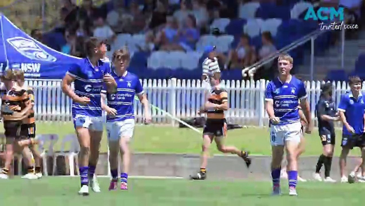 Bulldogs too good for Tigers