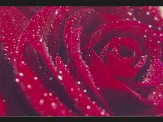 وفيق حبيب  SYRIAN MUSIC  سوريا دبكة