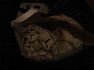 Willy le chat et un sac papier