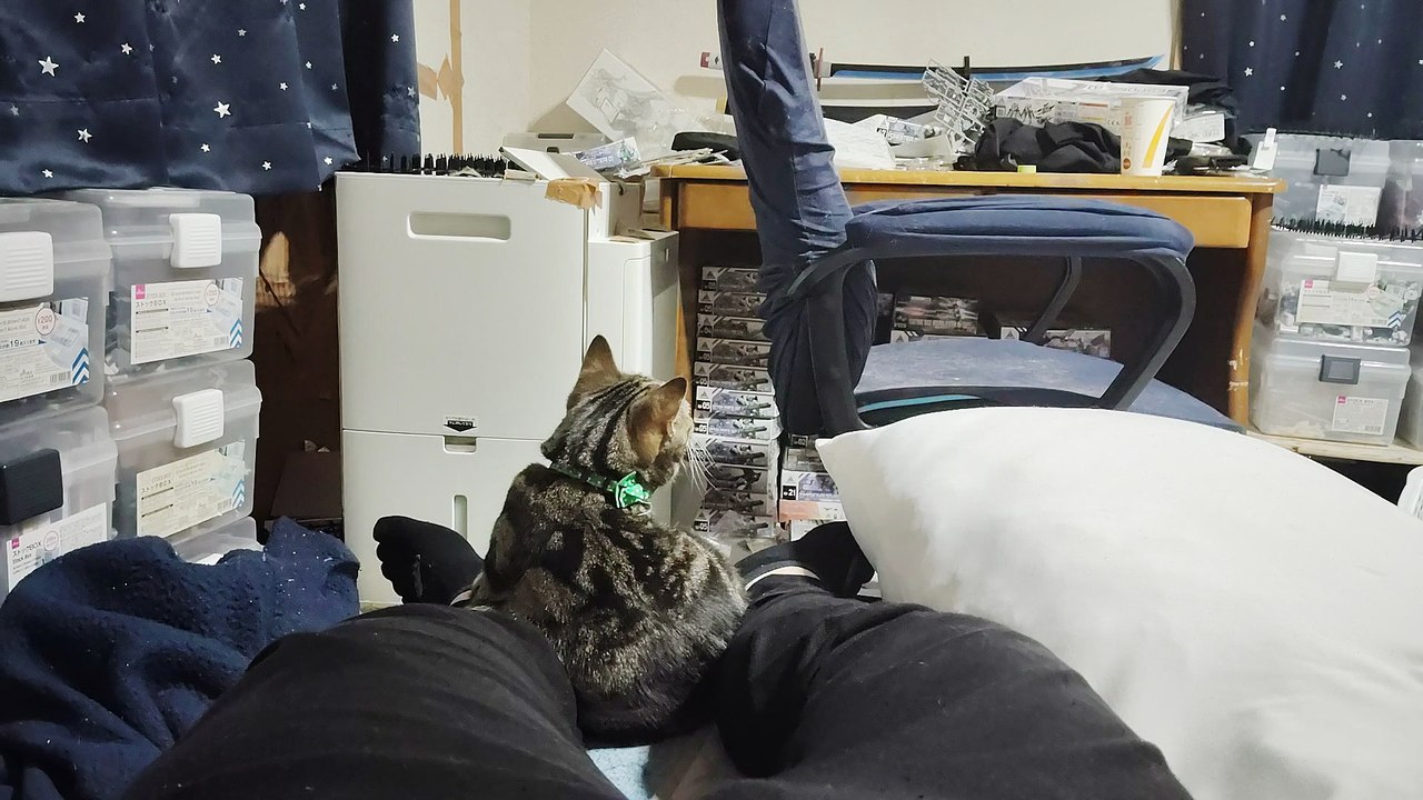 飼い主の足にくっついて毛繕いするココア5