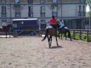 Kate galop rênes longues