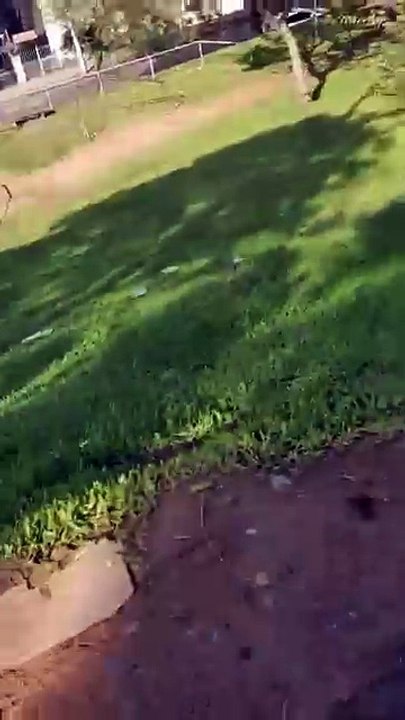 DikLoko em... Descanse Em Paz Meu Au-Au-Zinho!