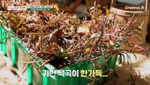 술 하나에 2천만 원?! 석곡주의 맛에 빠진 민호 & 충원! 고급진 술의 맛은?!