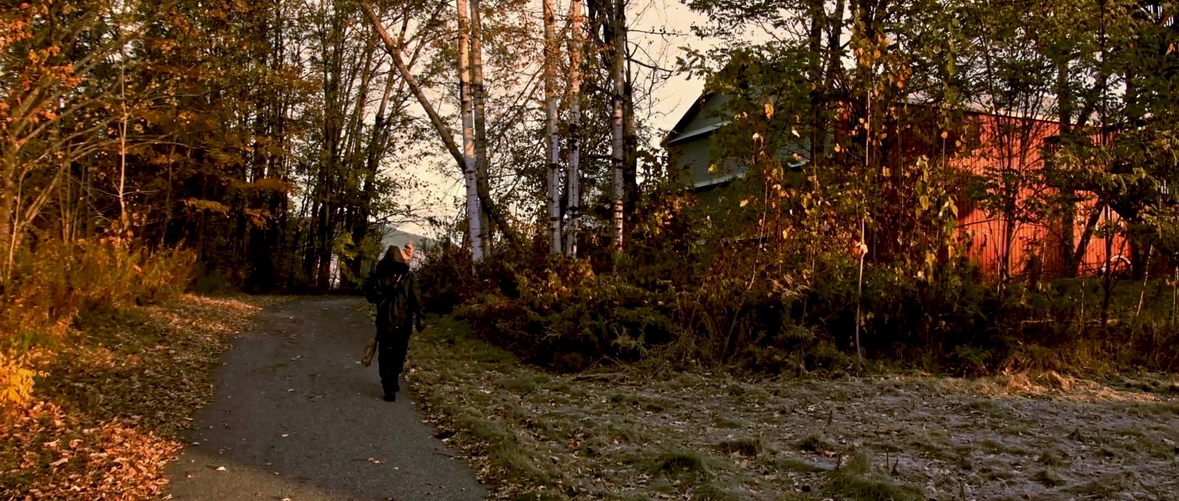 FOREST MAN! Hawk Cruel