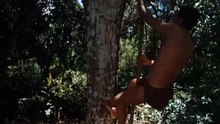 Tarzan (1966) – EP09: Silêncio Mortal (Parte 2) – Dublado