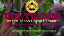 Demonstrasi warga akibat penertiban illegal gold mining terjadi di Markas Polisi Resort Sintang, kepolisian Daerah Kalimantan Barat.