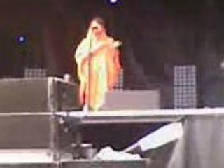 papillon de nuit camille