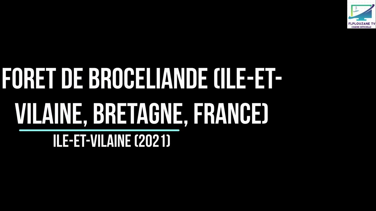 Voyage : Forêt de Brocéliande Partie 2 (Ile Et Vilaine, Bretagne, France, 2021)