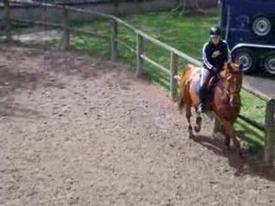 Instinct - Oxer