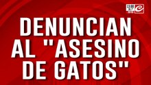 Denuncian al "asesino de Gatos": lo acusan de adoptar animales para torturarlos