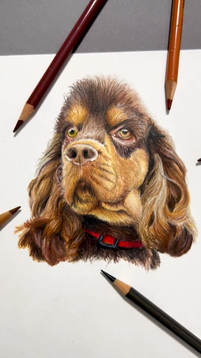 Dessin réaliste d'un chien aux crayons de couleur