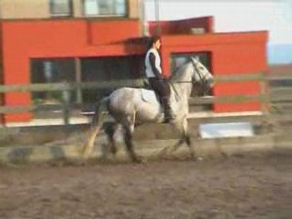 Xulo2008