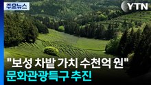 "보성 차, 계단식 차밭 가치 수천억 원"...문화관광특구 추진 / YTN