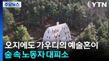 "이 오지에도 천재의 예술혼이"...숲 속 노동자 대피소 / YTN