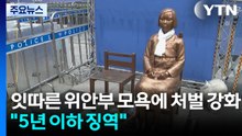 잇따른 위안부 모욕에 처벌 강화..."5년 이하 징역" / YTN
