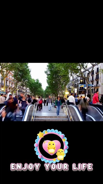 Sunshine - Musique AMIS