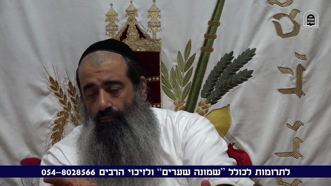 תורת הערכים 03