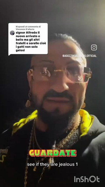 Agozzino Alfredo story con i suoi amici cani
