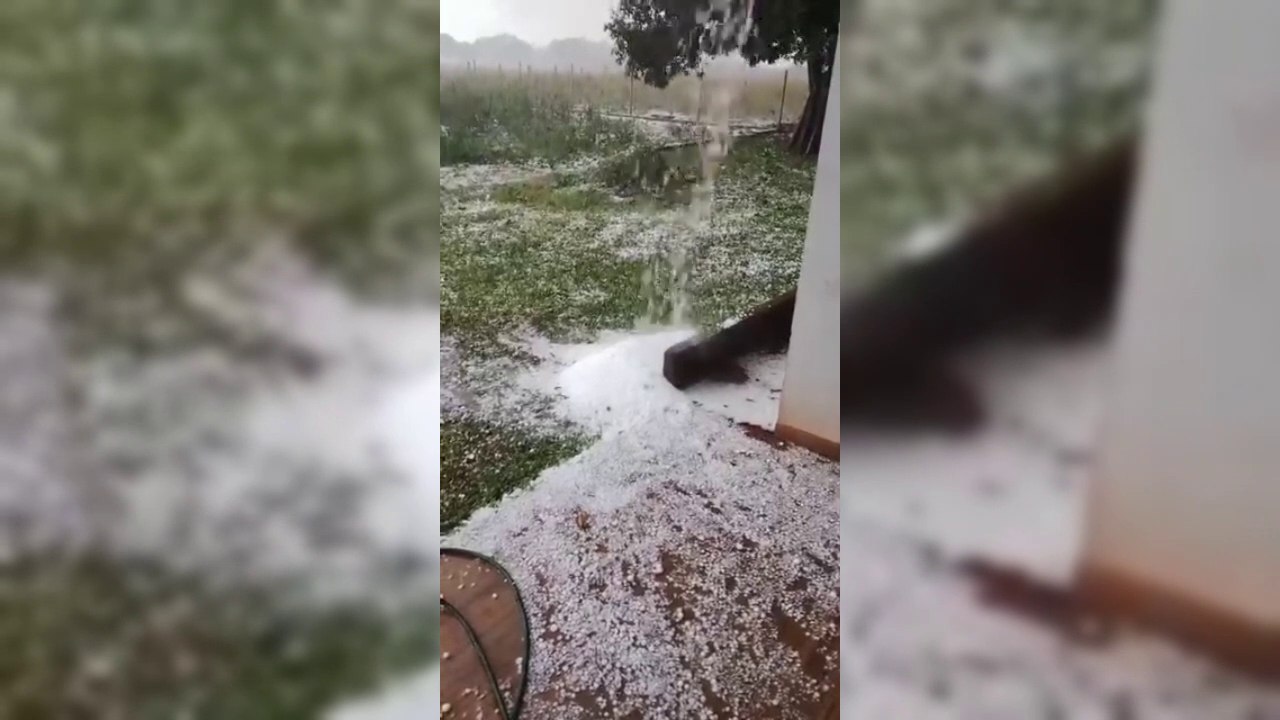 Intensa granizada azotó Mayor Otaño y causó daños en cultivos