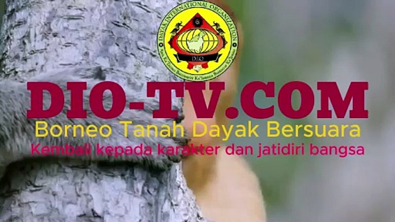 Siman Bahar Bong Kin Pin, Tersangka Tindak Pidana Pencucian Uang Komisi Pemberantasan Korupsi Gunakan Alamat Fiktif Jalan Gajah Mada Pontianak Provinsi Kalimantan Barat