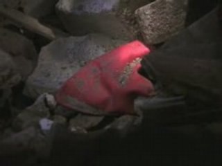 When God Closes A Door