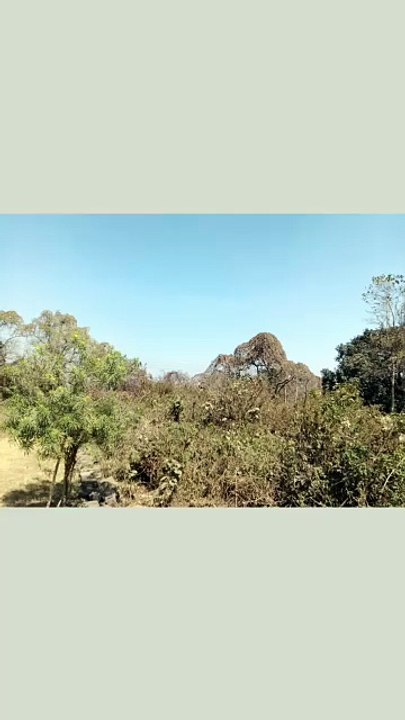 Nature Beauty part 1