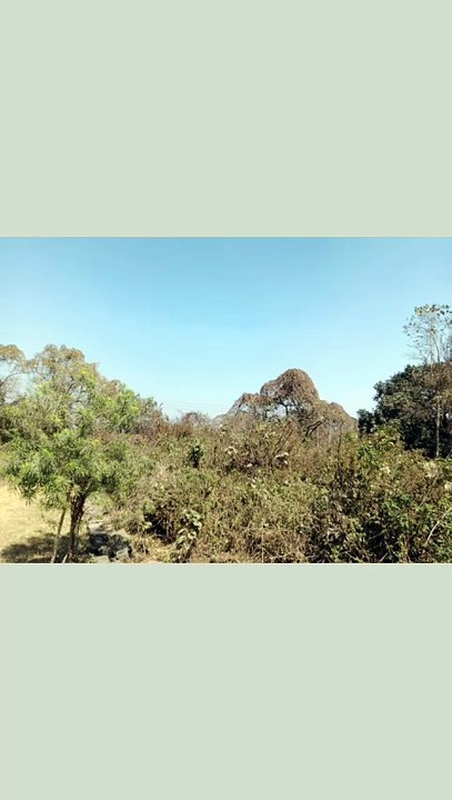 प्रकृति का सौंदर्य, Hindi Poetry