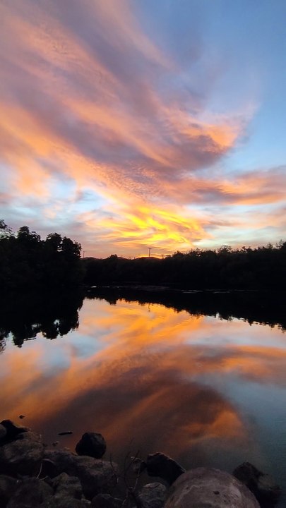 Gold Sunset