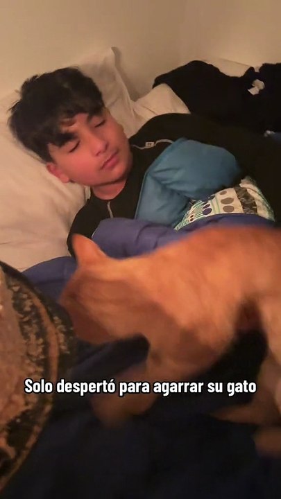 importante igvalentina141295 gatosgatonaranjaamordemividamaternidadvalellanosvalentina141295enlosangeleschilecatloveramorgatunogatocatcumpleanoshappybirthdaymamaehijomaternidadtiktokchilechilenatiktokmexicomamaadolecentexyzbcaxyzcbaxybcaxyzabc Valen tina