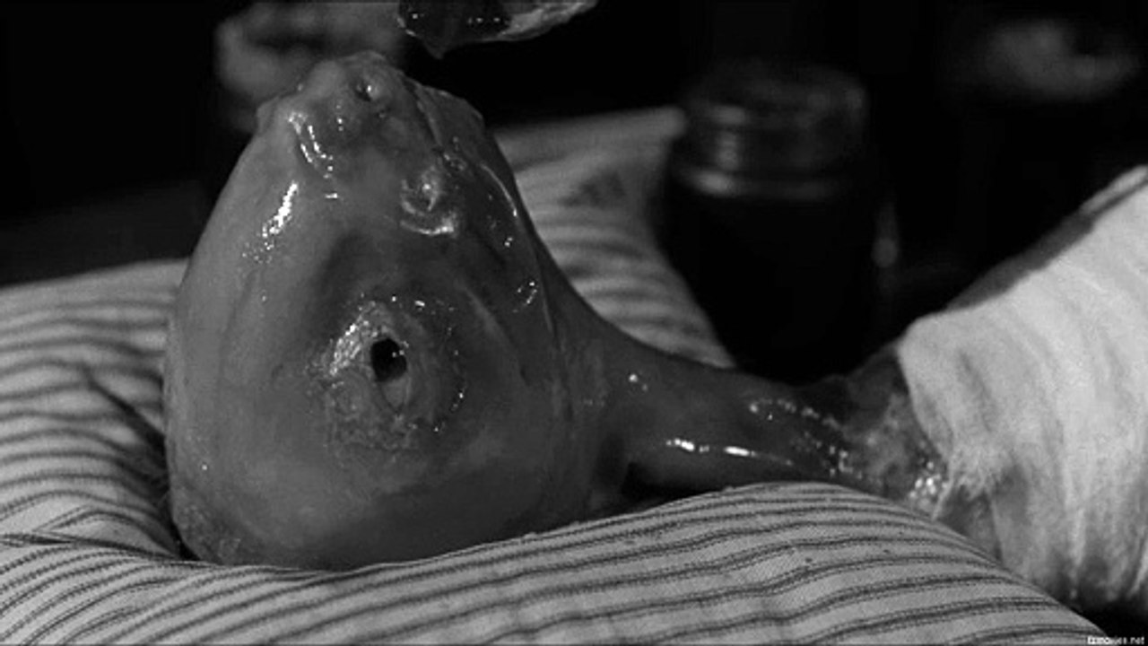 Eraserhead (1977) Watch HD
