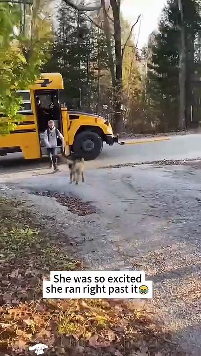 You’re the reason he waits