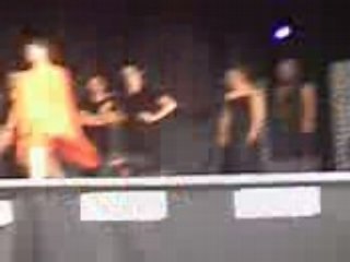 papillon de nuit camille