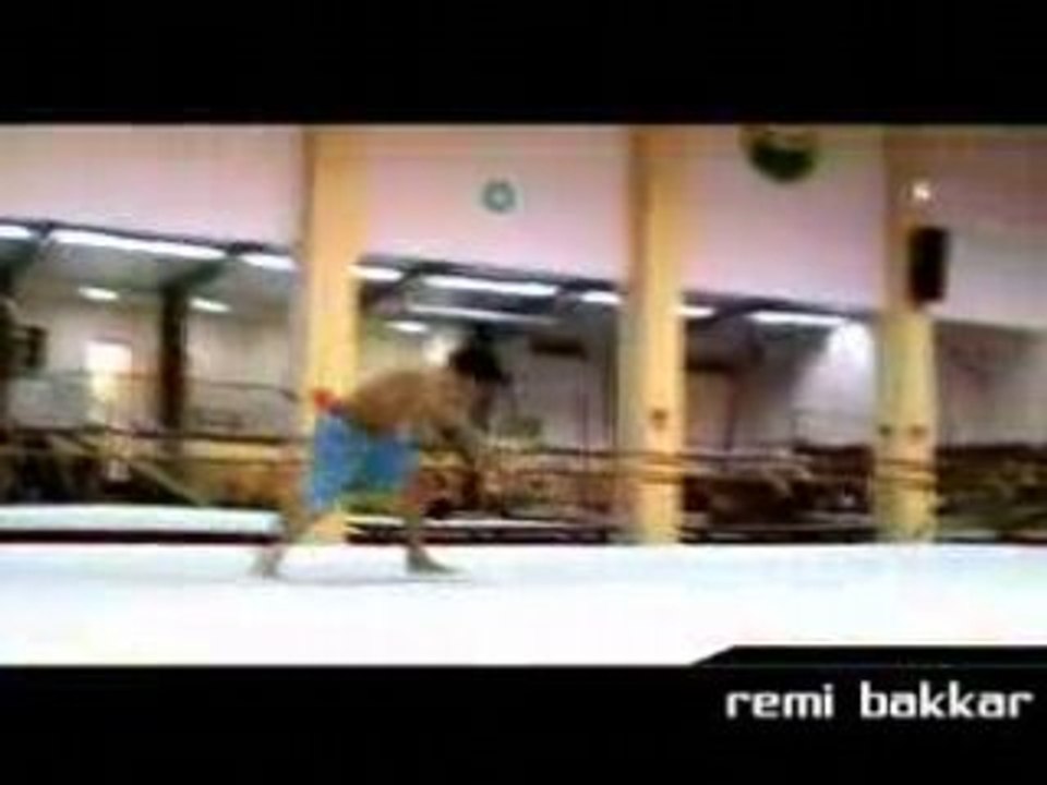 Acrobates professionnels