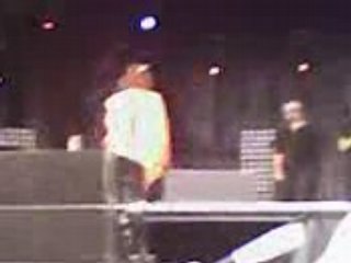 papillon de nuit 2008 camille