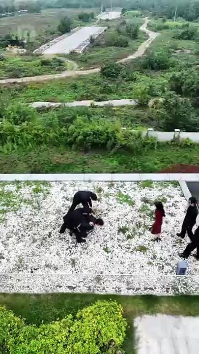 Episode 1 - Her Turn to Fall(English-dubbed)