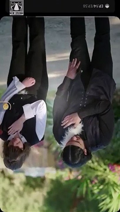 Too Late Alphas dailymotion 💥 Short Drama 2026  🍏💚✴️⚡  1203 1903  03:28