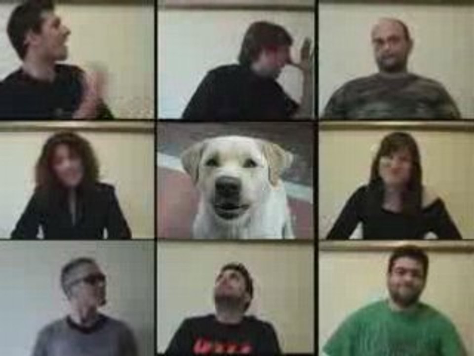 in 9 è meglio - Boris!