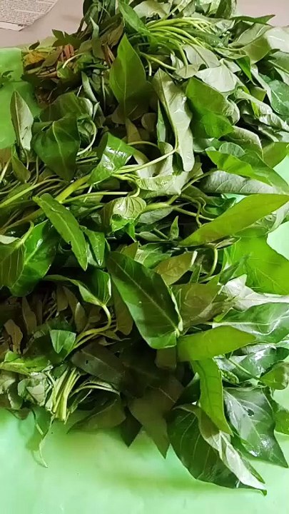 Water spinach & Green Amarnath