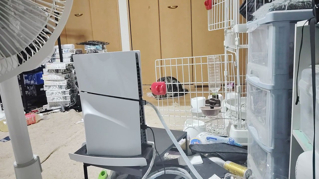 銀のスプーンの袋に噛みつくココア