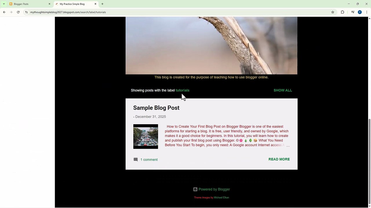 Blogger 67 Label Widget