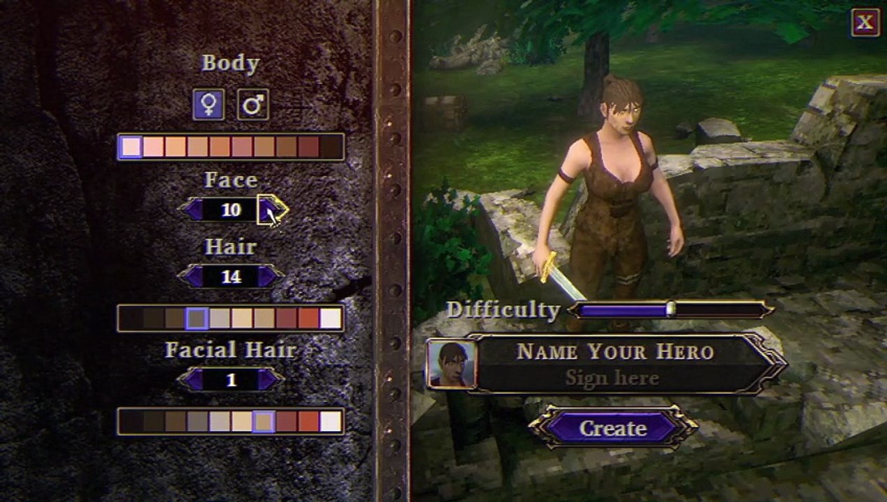 Feeble Origins : Path Of A Hero - Character Creation