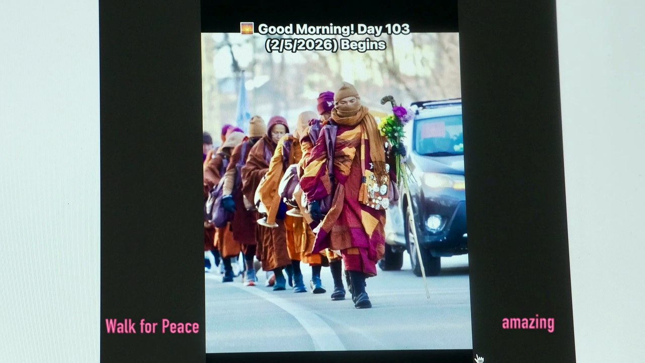 February - We need peace on earth